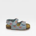 Plakton Sandalo 855571 Celeste