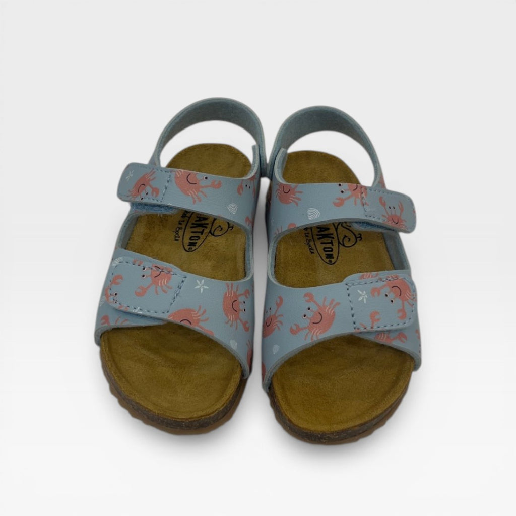 Plakton Sandalo 855571 Celeste