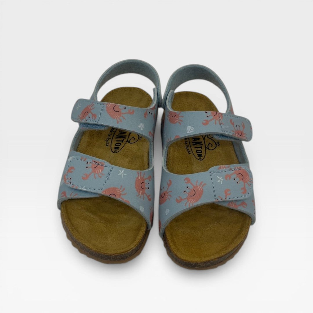 Plakton Sandalo 855571 Celeste