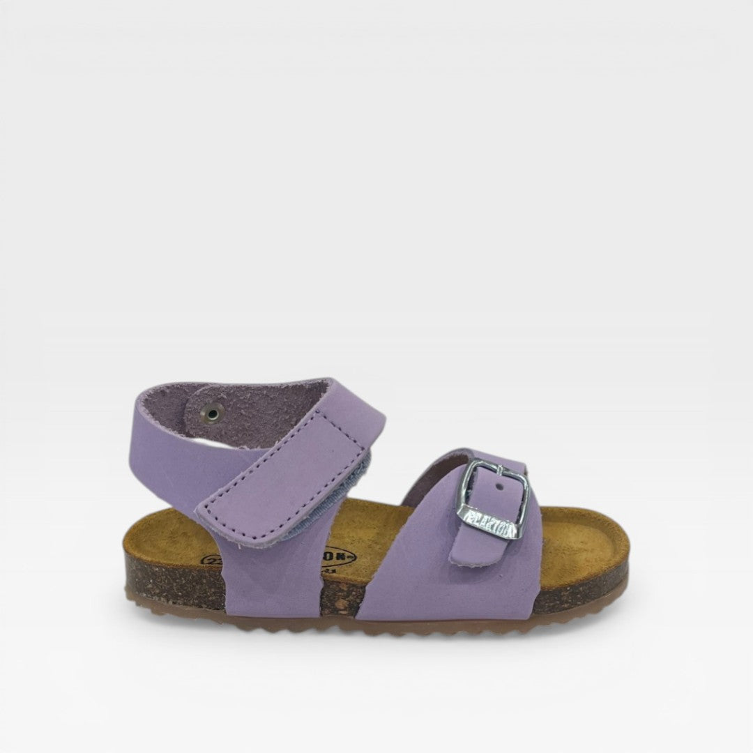 Plakton Sandalo 865659 Glicine