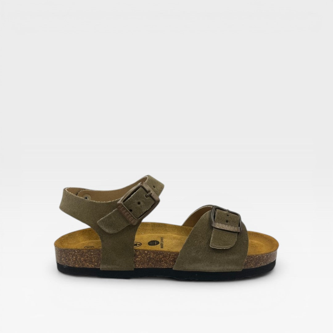 Plakton Sandalo 120053 Trebol