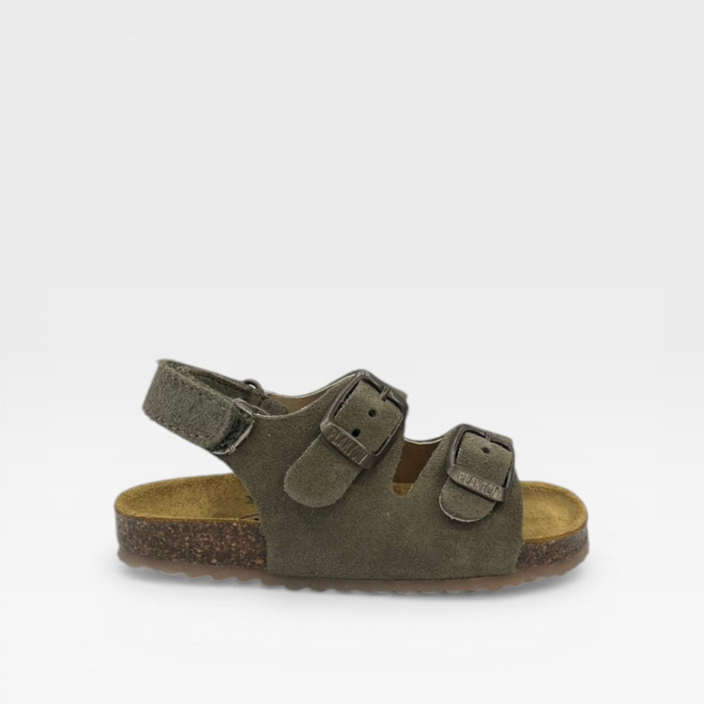 Plakton Sandalo 856298 Trebol